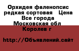 Орхидея фаленопсис редкая сортовая › Цена ­ 800 - Все города  »    . Московская обл.,Королев г.